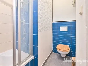 Pronájem bytu 1+1, Brno - Staré Brno, Schovaná, 50 m2