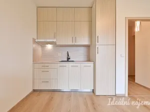 Pronájem bytu 1+kk, Brno, Moldavská, 30 m2