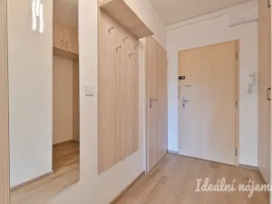 Pronájem bytu 1+kk, Brno, Moldavská, 30 m2
