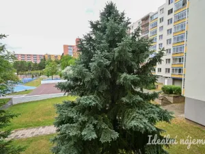 Pronájem bytu 1+kk, Brno, Moldavská, 30 m2