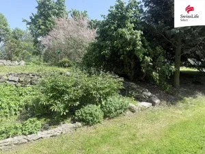 Pronájem komerčního pozemku, Kohoutov, 3046 m2
