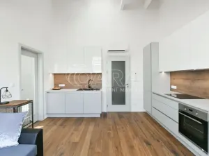 Pronájem bytu 2+kk, Praha - Žižkov, Bořivojova, 50 m2