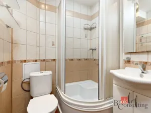 Pronájem bytu 1+1, Plzeň - Jižní Předměstí, Raisova, 30 m2
