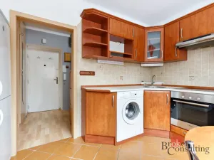 Pronájem bytu 1+1, Plzeň - Jižní Předměstí, Raisova, 30 m2