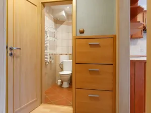 Pronájem bytu 1+1, Plzeň - Jižní Předměstí, Raisova, 30 m2