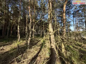 Prodej lesa, Háje, 4000 m2