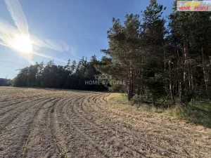 Prodej lesa, Háje, 4000 m2