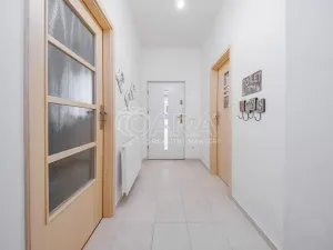 Pronájem rodinného domu, Nelahozeves - Lešany, Letní, 120 m2