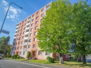 Prodej bytu 3+1, Sušice - Sušice II, Volšovská, 69 m2