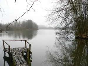 Prodej pozemku, Blatná, Na Příkopech, 3100 m2