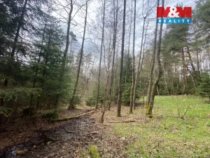 Prodej lesa, Volfířov - Brandlín, 5958 m2