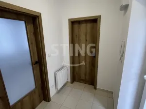 Pronájem bytu 1+kk, Opava, Hviezdoslavova, 25 m2