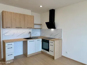 Pronájem bytu 1+kk, Frýdek-Místek - Frýdek, Novodvorská, 32 m2