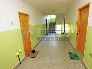 Prodej bytu 1+1, Neratovice, 28 m2