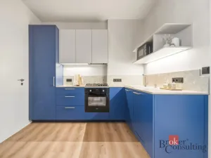 Prodej bytu 1+1, Praha - Vinohrady, náměstí Jiřího z Lobkovic, 44 m2
