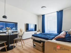 Prodej bytu 1+1, Praha - Vinohrady, náměstí Jiřího z Lobkovic, 44 m2