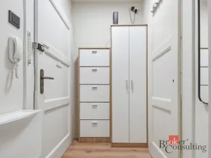 Prodej bytu 1+1, Praha - Vinohrady, náměstí Jiřího z Lobkovic, 44 m2