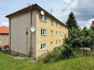 Pronájem bytu 2+1, Sokolov, Brněnská, 60 m2
