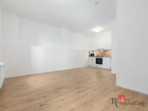 Prodej bytu 1+kk, Ostrava - Přívoz, Palackého, 33 m2