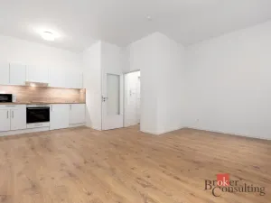 Prodej bytu 1+kk, Ostrava - Přívoz, Palackého, 33 m2
