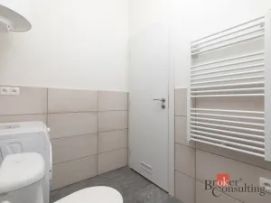 Prodej bytu 1+kk, Ostrava - Přívoz, Palackého, 33 m2