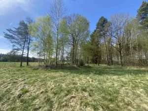 Dražba louky, Hranice, 1061 m2