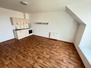 Pronájem bytu 1+kk, Velké Heraltice, Zahradní, 30 m2