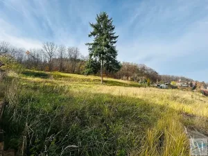 Prodej pozemku pro bydlení, Krnov, 1311 m2