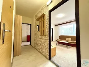 Prodej bytu 2+1, Krnov, Dvořákův okruh, 44 m2
