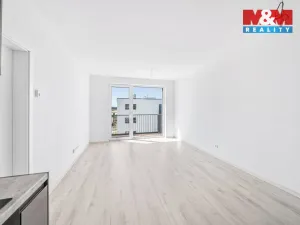 Pronájem bytu 2+kk, Plzeň - Litice, 42 m2