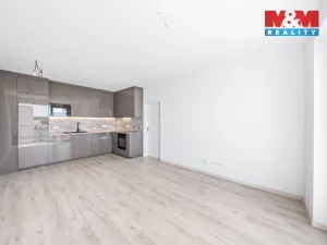 Pronájem bytu 2+kk, Plzeň - Litice, 42 m2