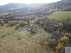 Prodej pozemku pro bydlení, Město Albrechtice, 3681 m2