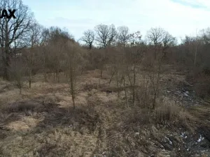 Prodej komerčního pozemku, Polom, 5000 m2