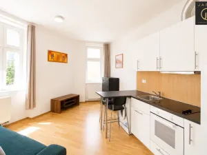 Pronájem bytu 1+kk, Praha - Libeň, Lihovarská, 25 m2