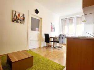 Pronájem bytu 2+kk, České Budějovice, Čechova, 55 m2