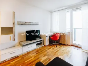 Pronájem bytu 1+kk, Praha - Vysočany, Freyova, 32 m2