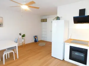 Pronájem bytu 2+kk, Plzeň, Hřímalého, 75 m2
