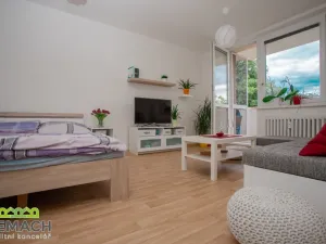 Pronájem bytu 1+1, Napajedla, Nábřeží, 33 m2