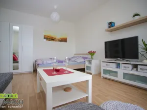 Pronájem bytu 1+1, Napajedla, Nábřeží, 33 m2