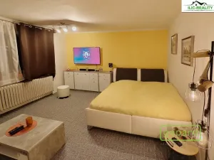 Pronájem bytu 1+1, Plzeň, Arbesova, 36 m2