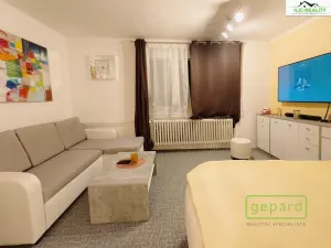 Pronájem bytu 1+1, Plzeň, Arbesova, 36 m2
