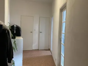 Pronájem bytu 1+1, Praha - Holešovice, U elektrárny, 30 m2