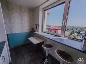 Prodej bytu 1+1, Jihlava, Ortenova, 33 m2