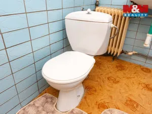 Prodej rodinného domu, Holčovice - Jelení, 224 m2