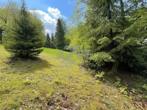 Prodej pozemku pro bydlení, Čeladná, 2937 m2