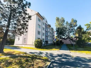 Prodej bytu 3+1, Plzeň, Lesní, 78 m2