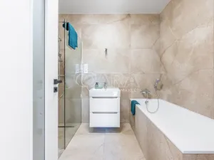 Prodej bytu 3+kk, Olešná, 68 m2