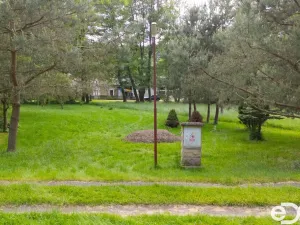 Prodej zahrady, Horní Bukovina, 879 m2