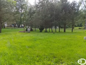 Prodej zahrady, Horní Bukovina, 879 m2