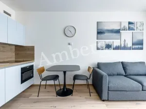 Pronájem bytu 1+kk, Praha - Karlín, Sokolovská, 28 m2